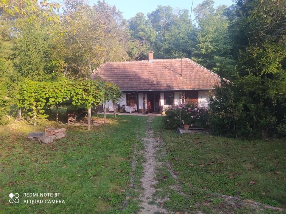 Fecskefeszek Vendeghaz Oriszentpeter Hotel Exterior foto