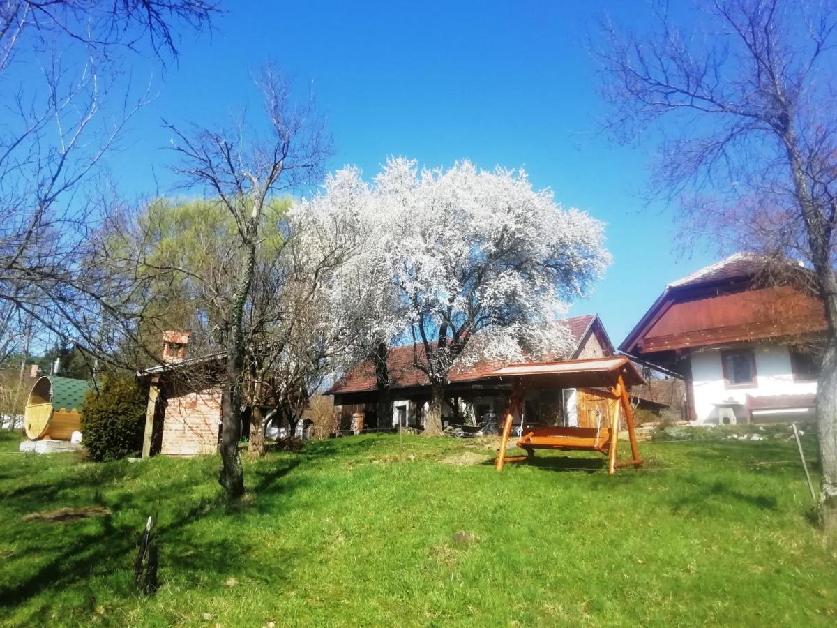 Fecskefeszek Vendeghaz Oriszentpeter Hotel Exterior foto